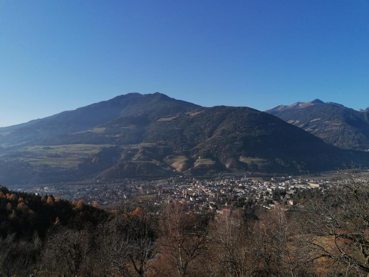 Apartment Neue Auf Dem Gebreitnerhof, Urlaub Auf Dem Bauernhof